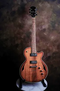 Cort Parkwood H4 hybrid Guitarra eléctrica - Peter I [Day before yesterday, 9:45 am]