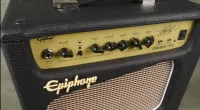 Epiphone Snakepit 15G