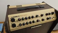 Fishman Loudbox performer