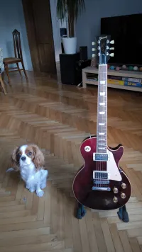 Gibson Les Paul Standard