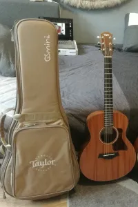 Taylor GS Mini Mahogany