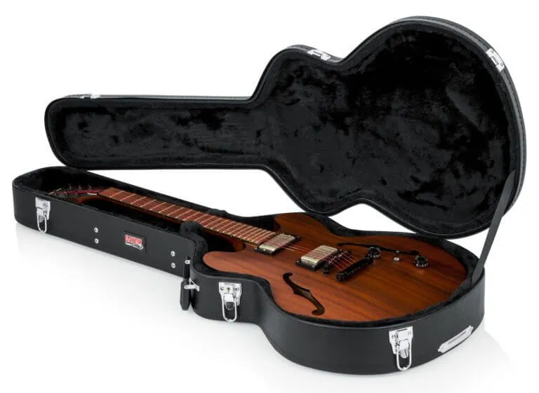 -  Guitar case