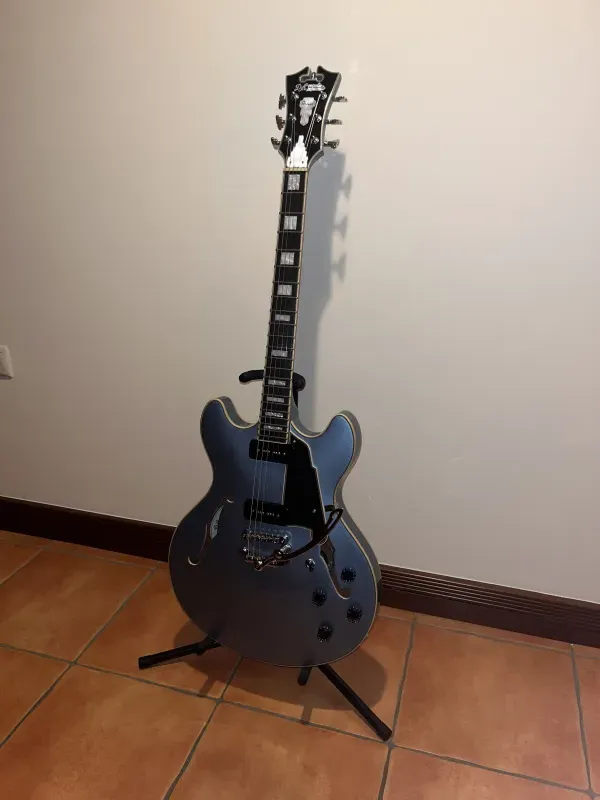 DAngelico PREMIER DC BOARDWALK P90S Elektrická gitara