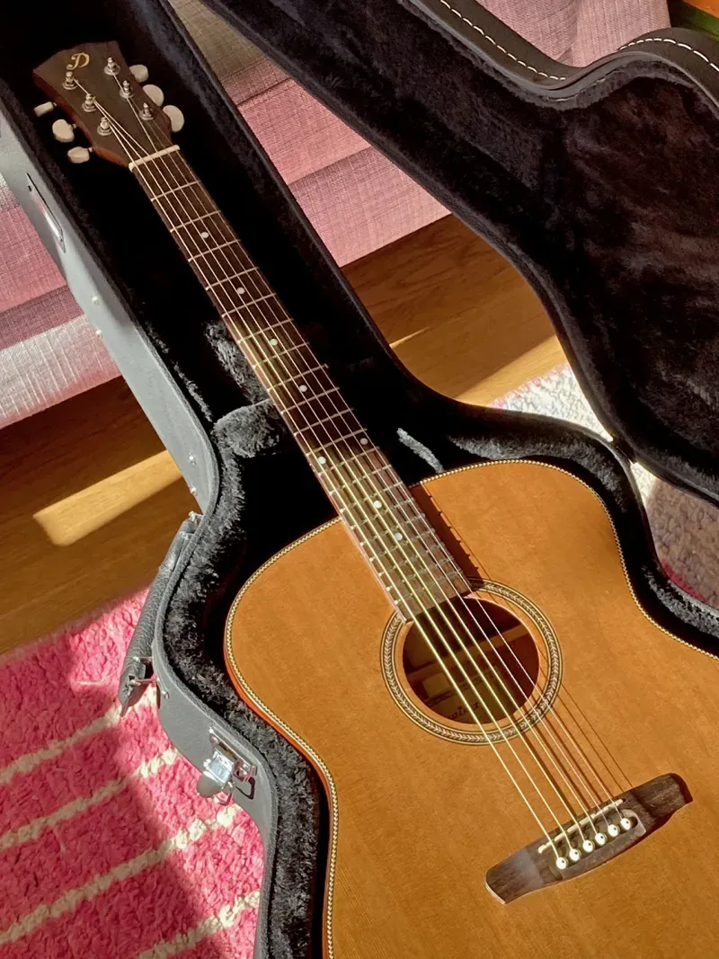Dowina J-555 Jumbo   2009 Guitarra acústica