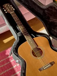 Dowina J-555 Jumbo   2009 Acoustic guitar [November 28, 2024, 10:50 am]