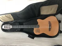 Godin Multiac Ac Sa Nylon Electric guitar [October 20, 2024, 6:49 pm]