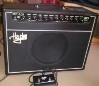 Hayden HGT-A 20 Guitar combo amp [October 29, 2024, 10:27 am]