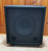 Invasion EB300 1x15 Bass Truhe [October 25, 2024, 2:08 pm]