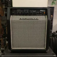 Rocktron Rampage Bass 30 Basgitarové kombinované zosilňovače [December 23, 2024, 12:24 pm]
