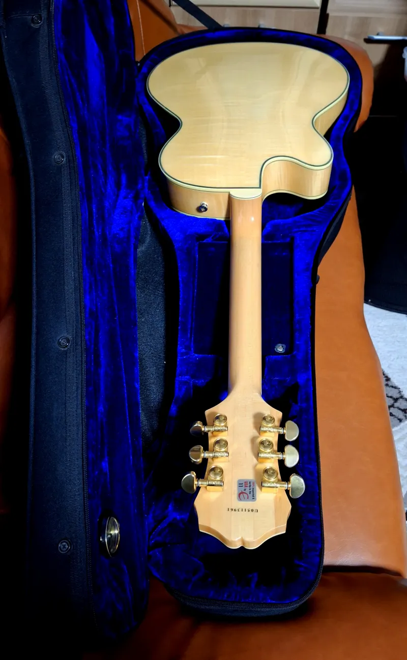 Epiphone Joe Pass Emperor 2005 Korea Jazz guitar for sale | GS Fanatic