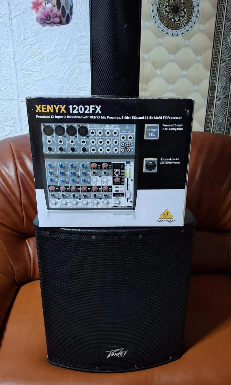 Peavey PA-P2 System 250 W Active speaker