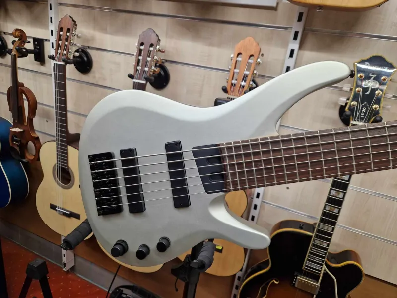 Washburn BB6 6-saitigen Bass