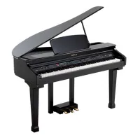 Orla Grand 120 BK Digital piano [November 22, 2024, 10:05 am]