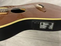 Fender telecoustic