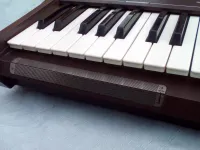 Hohner P100 Synthesizer [November 7, 2024, 8:26 pm]