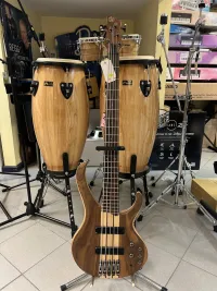 Ibanez BTB675-NTF