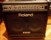 Roland Roland D-BASS 210 Bass Combo - baudela [March 20, 2025, 10:37 pm]