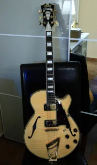 DAngelico EX SS Elektromos gitár [2025.02.23. 20:34]