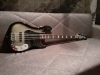 Fender Troy Sanders precision