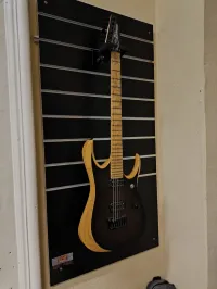 Ibanez RGDIX6MRW