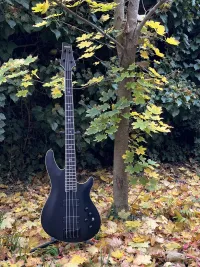 Schecter SLS Evil Twin-4