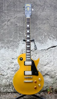 Vintage Joe Bonamassa Les Paul Guitarra eléctrica - Hurtu [March 21, 2025, 11:04 am]