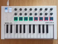 Arturia MiniLab MKII MIDI Keyboard - Kpkg [December 10, 2024, 12:31 pm]