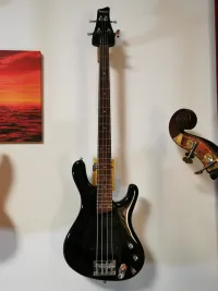 Ibanez Ergodyne EDB300