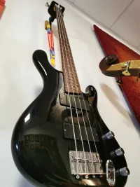 Ibanez Ergodyne EDB300