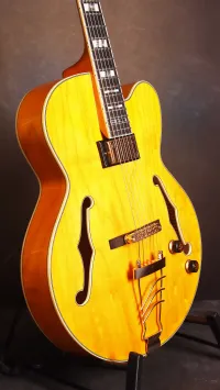 Ibanez PM2AA Jazzgitarre - Gitar [December 5, 2024, 10:21 pm]