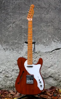 Squier Classic Vibe Thinline Telecaster Guitarra eléctrica - Hurtu [Today, 5:45 pm]