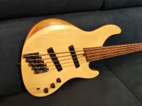 Blasius Oldstone Bass guitar [December 18, 2024, 8:43 am]