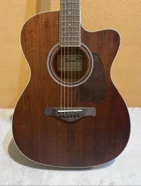 Ibanez AC340CE-OPN