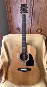 Ibanez AVD11-ANS Artwood Vintage