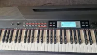 Thomann SP-5600 Digital piano - Alice [December 14, 2024, 4:44 pm]