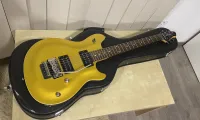 Fenix FX4 Electric guitar [December 23, 2024, 11:48 am]