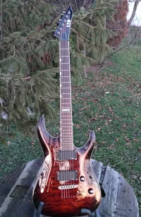 LTD MH-350 NT Guitarra eléctrica - jabuga [Today, 12:26 pm]