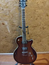 Parkwood H4 Elektromos gitár - Szemenyei Imre [Ma, 09:15]