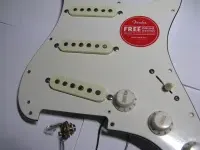 Squier Fender standart