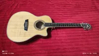 Washburn Wmj10