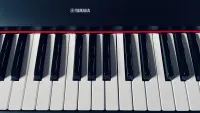 YAMAHA Yamaha NP-11 Piaggero