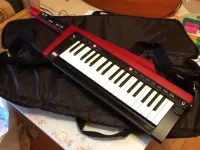 Korg RK-100S 2 Keytar gitarový syntetizátor - nemandras [Yesterday, 4:19 pm]