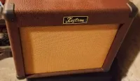 Kustom Sienna 35