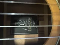 Ortega STRIPED Elektroakusztikus gitár - Hegedüs Roland [Ma, 18:55]