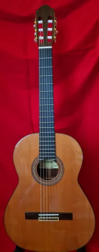 Raimundo 130 Classic guitar - Laszlo Tottos [March 17, 2025, 9:07 pm]