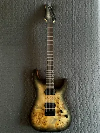 Schecter C-6 Pro