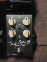 Source Audio True Spring Reverb Pedal de reverb - szauerd38 [Today, 5:36 pm]