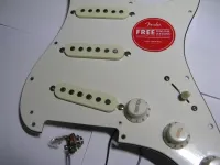 Squier Standart Indonéz Pickup set - Árnyék [Today, 1:56 pm]