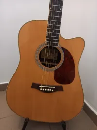 Uniwell  Electro-acoustic guitar - MaJa [Today, 2:35 pm]