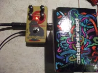 Catalinbread Katzenkönig Fuzz